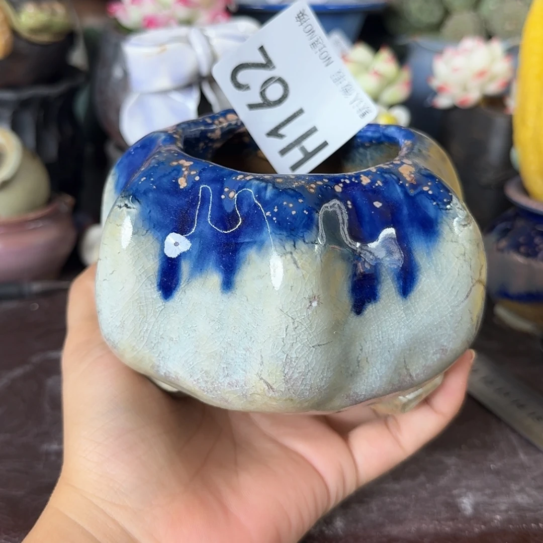 重庆小燕子欢迎大家162