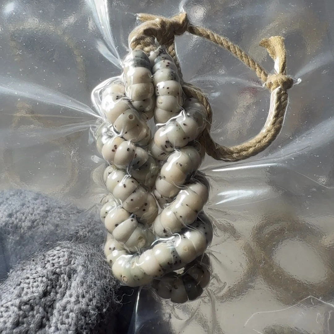 星月菩提把件青花瓷大留白大肠工艺