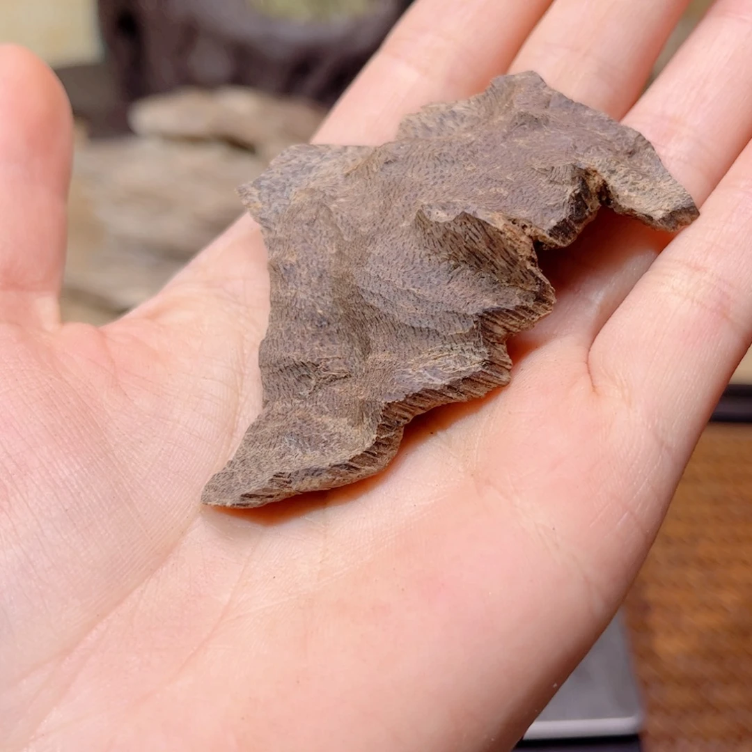 香榧木海南木料尖峰岭沉水包头5克