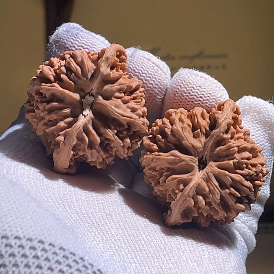 破***王全品 41星星。全品。