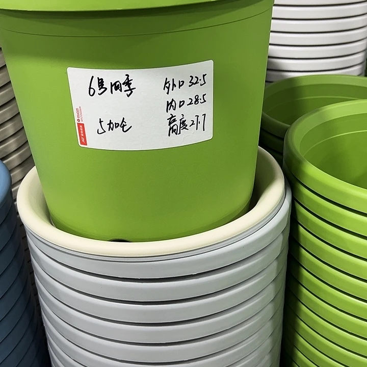 平****特价6号四季口32高28混色无托10只