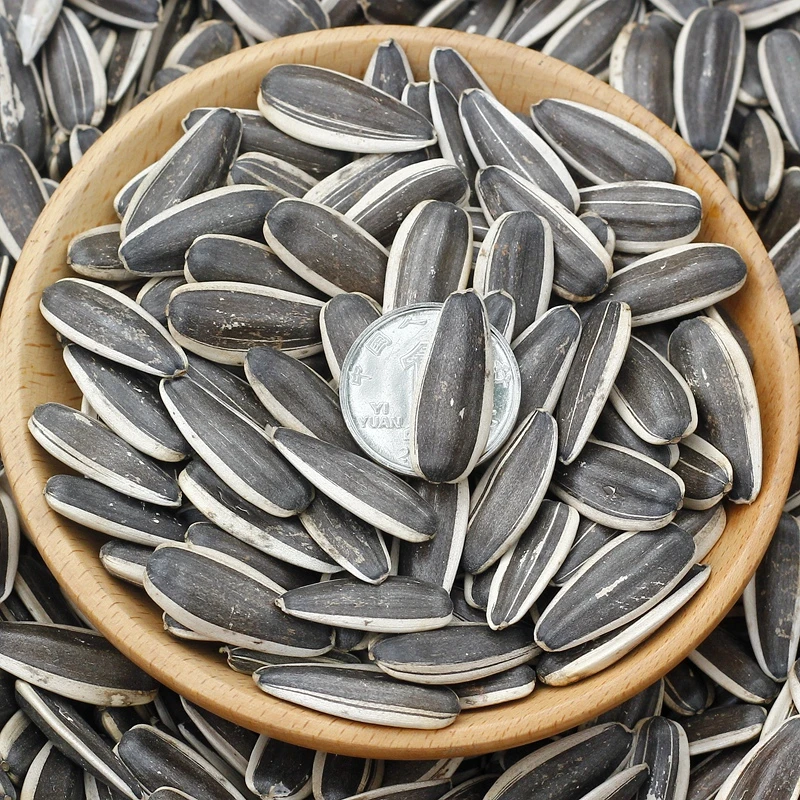 新疆阿勒泰原味炒瓜子500g*1包