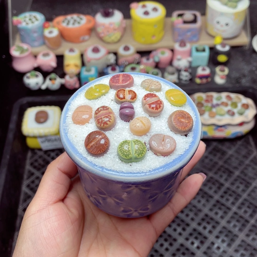 w9050 -零下地区拍保温箱-15支持寄养