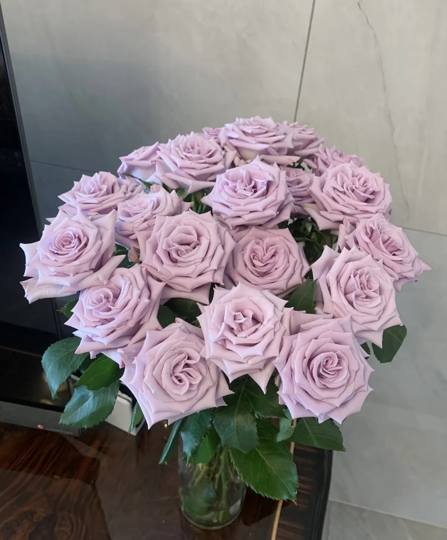 【海洋之歌鲜花花束玫瑰玫瑰花】品种原因花苞小云南基地现采现发