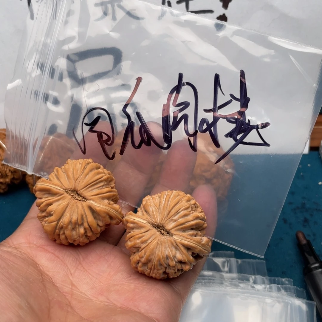 核桃手串/手链35757353757357753