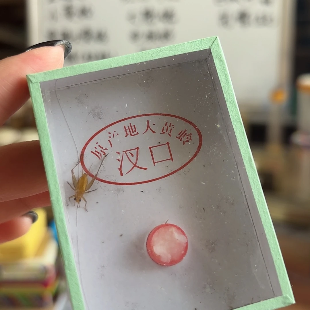 黑眼大黄一条啊啊