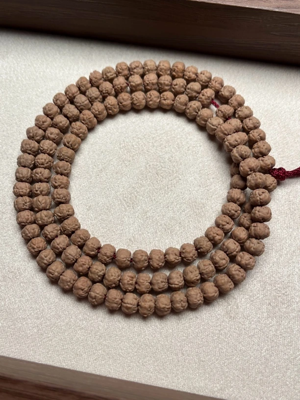 心选：收藏级南瓜桩小佛手