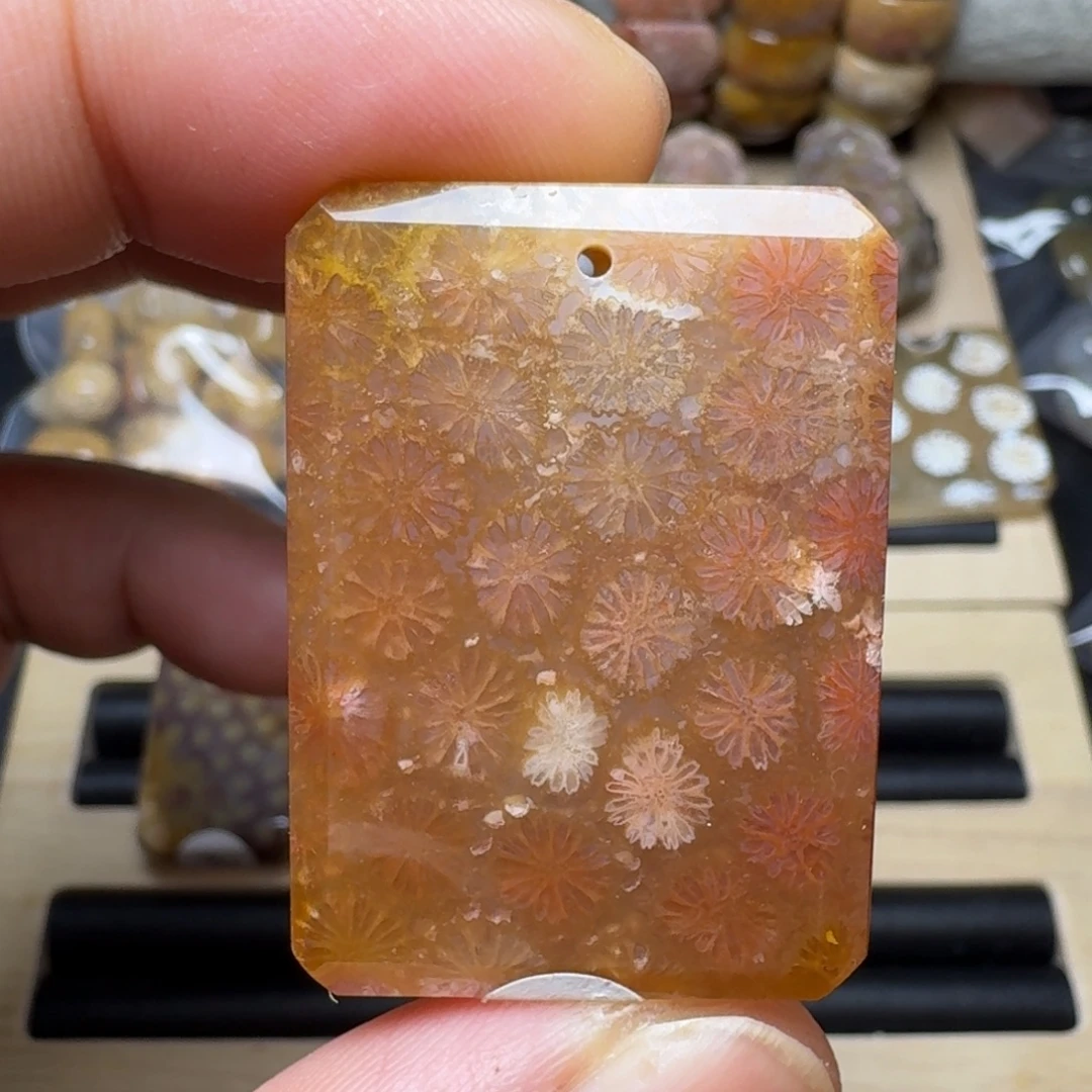 硅化珊瑚（珊瑚玉）未镶嵌纯天然色有机玉石保真色