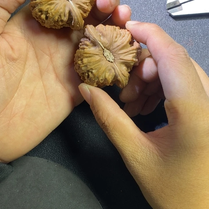 47白狮子喜欢拍全品1111