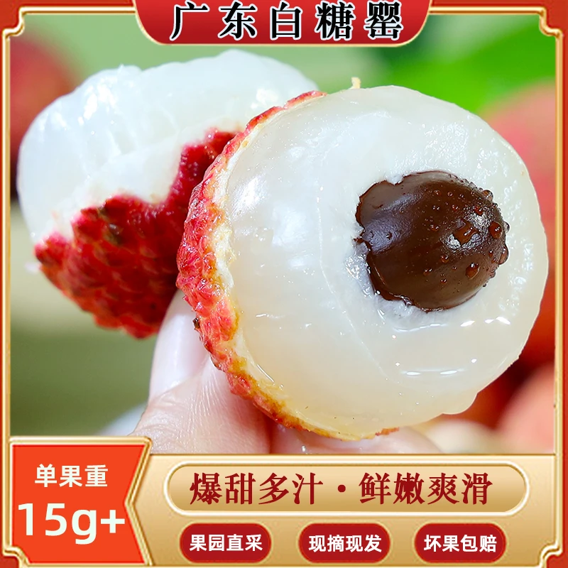 【顺丰包邮】广东茂名高州白糖罂荔枝爆甜多汁现摘现发水果5斤包邮