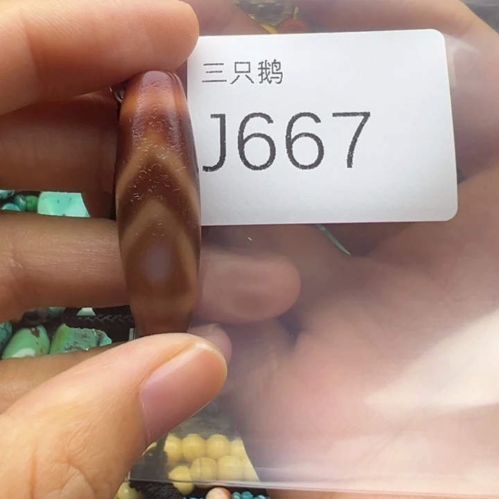 吊坠菩提根/象牙果