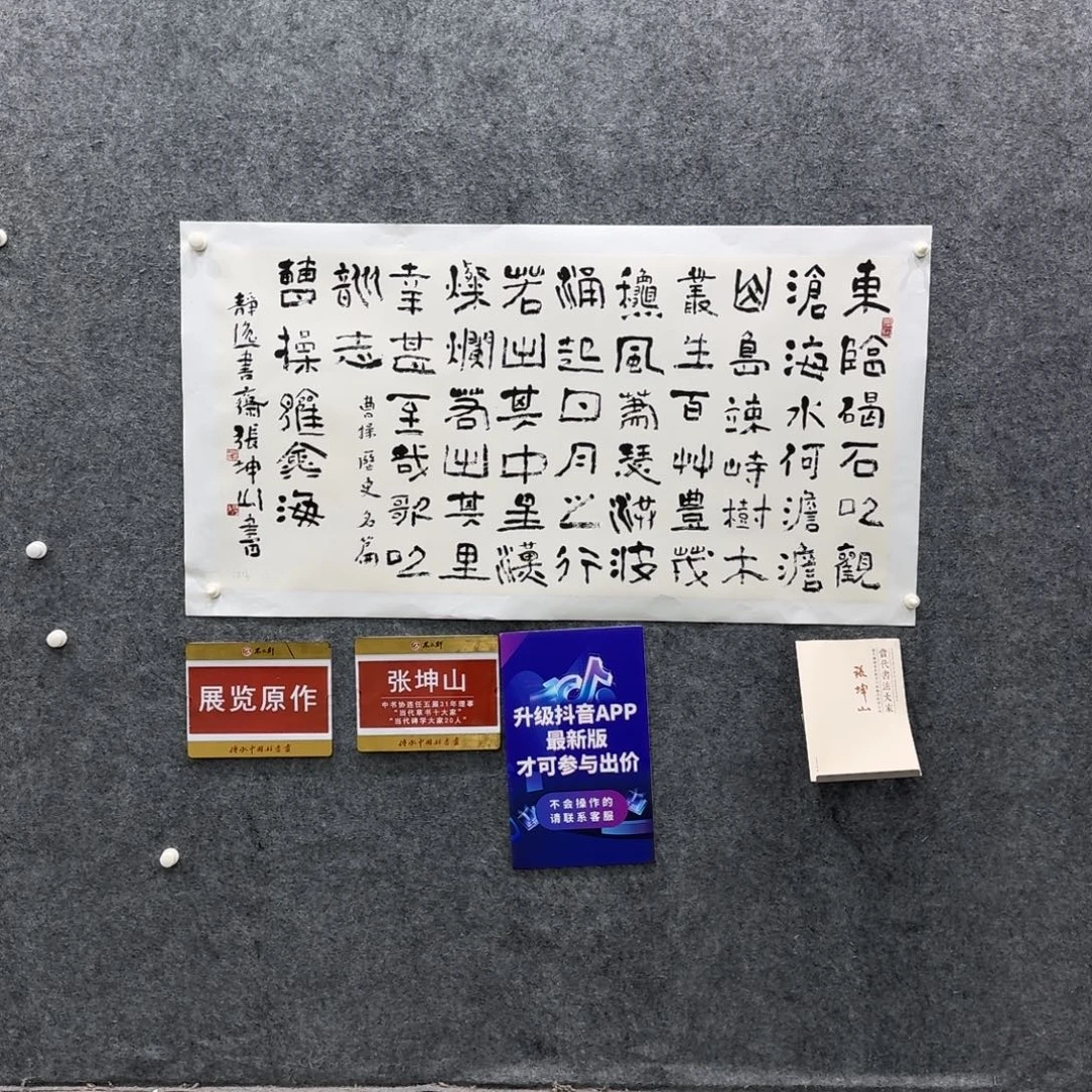 书法书法ZKS老师作品