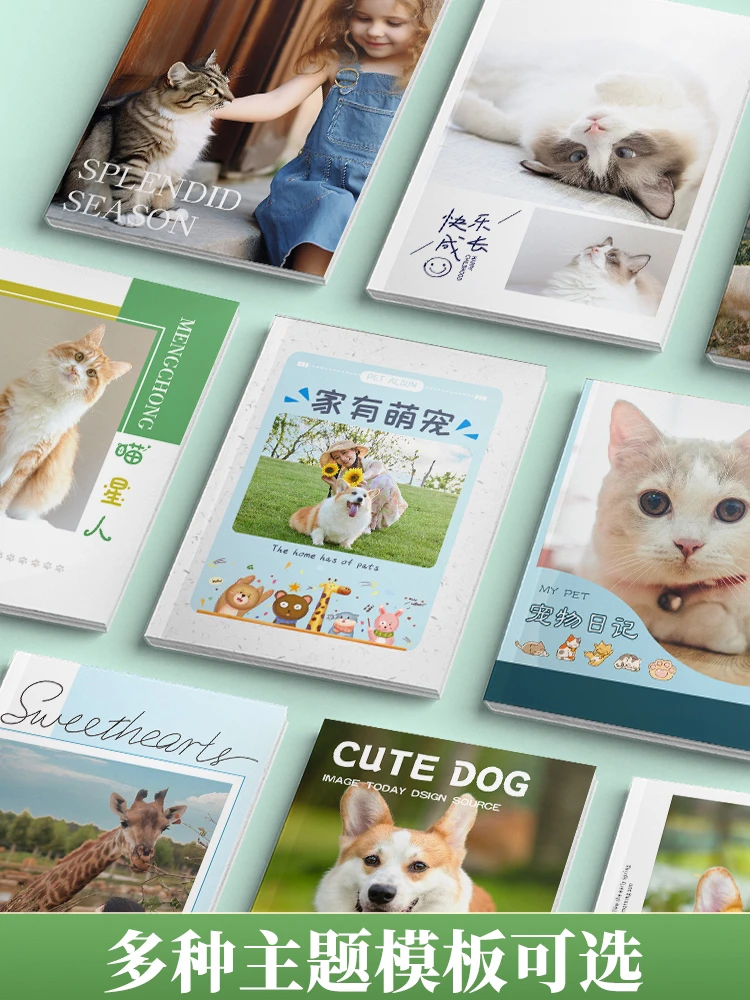 猫咪写真随笔宠物摄影集街猫拍摄可爱艺术书