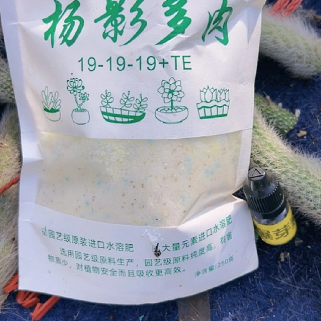 【闪购商品】营养鲜花绿植龅牙