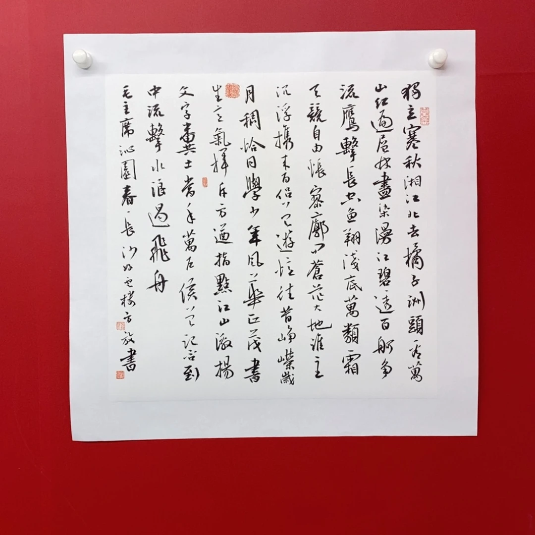 尚古202565235633566