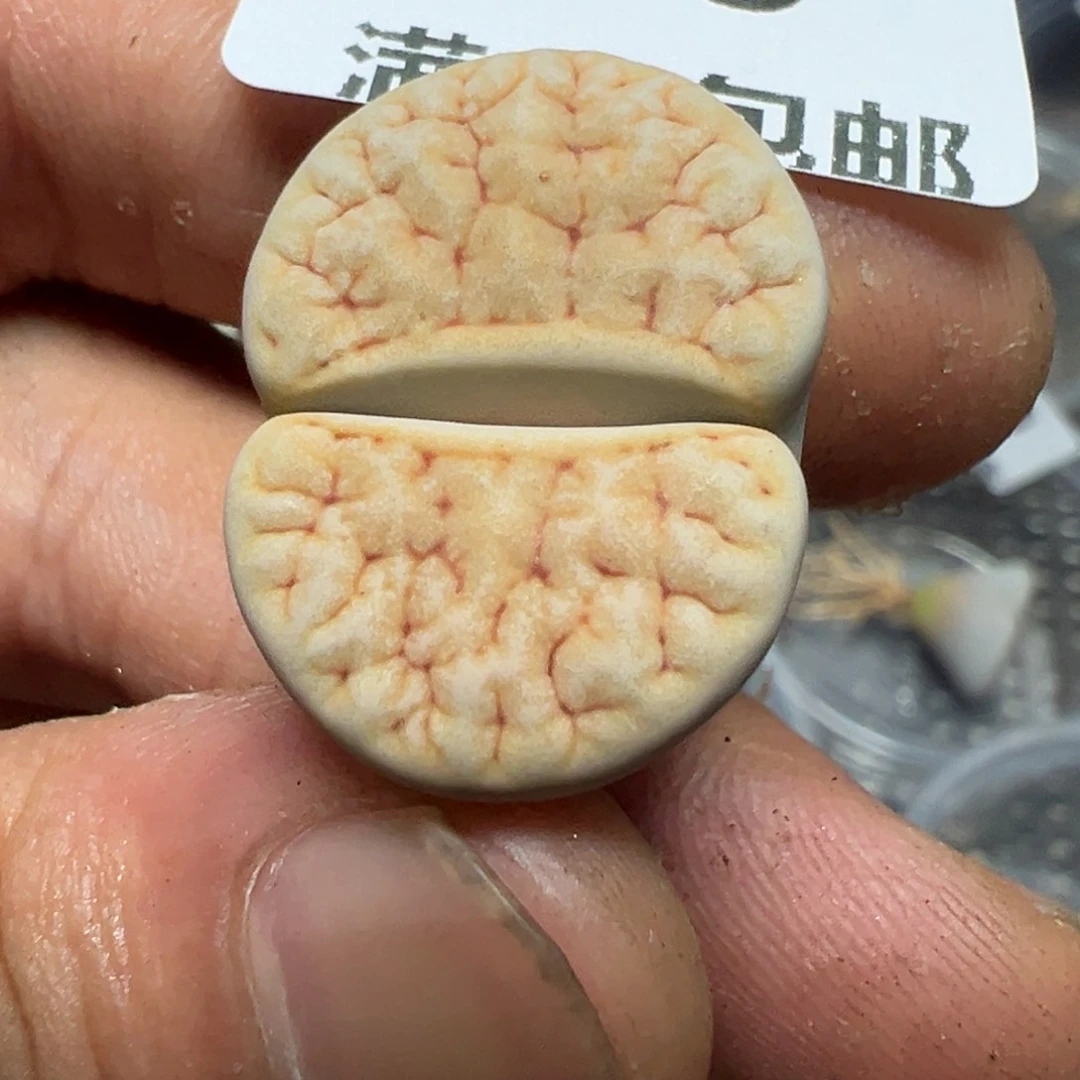 【闪购商品】 920。