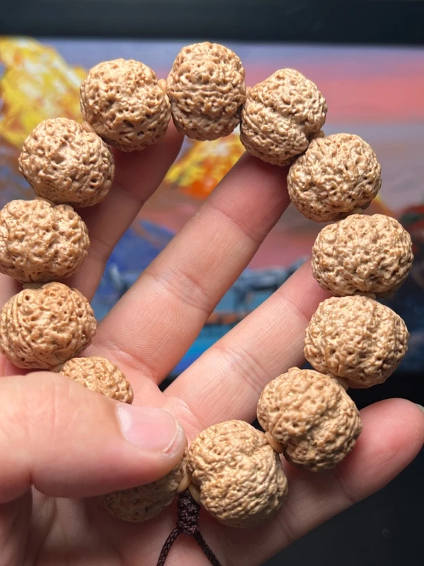 10号（巨肉铁蜂王）金刚菩提