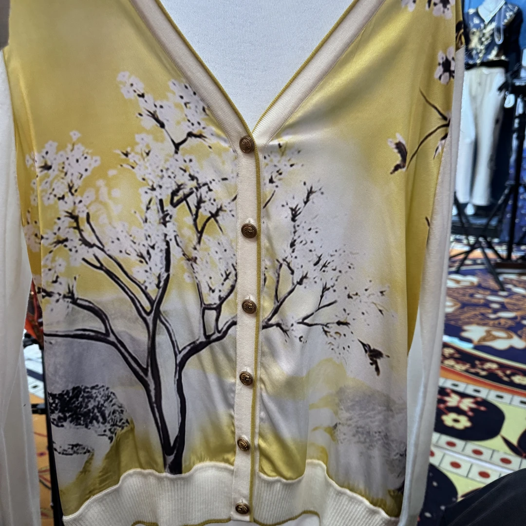 【119】早秋新品桑蚕丝时尚印花休闲V领女士打底长袖上衣