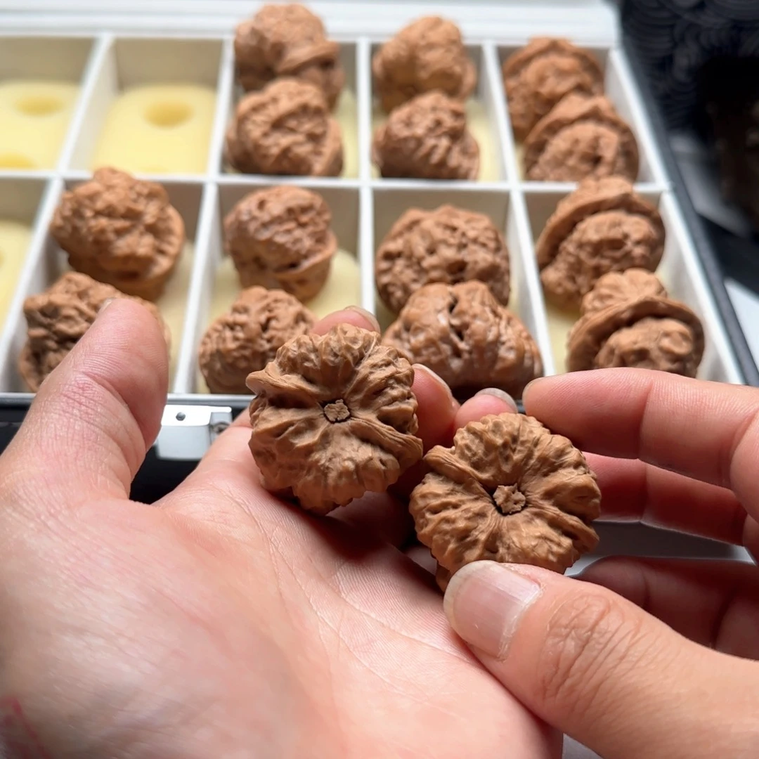 延庆蛤蟆头山地果