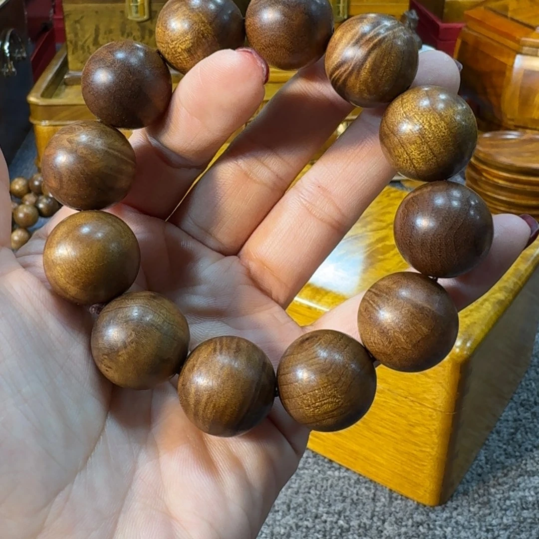 金丝楠金丝楠福利2.0