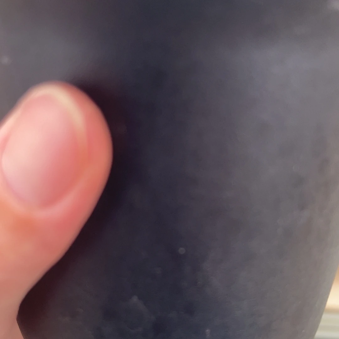 光琳推荐仙人球专拍龙角