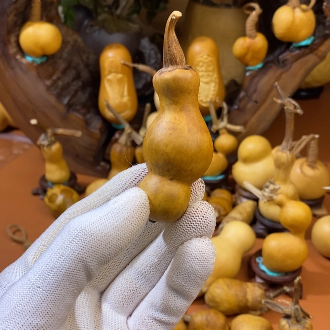 柠****啦啦教练咯教练咯
