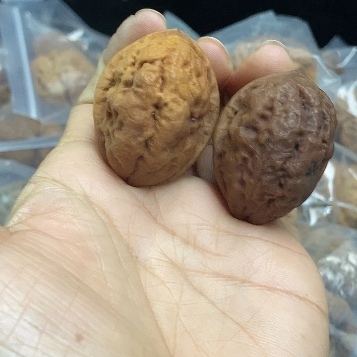 木质类云南铁核桃基地55