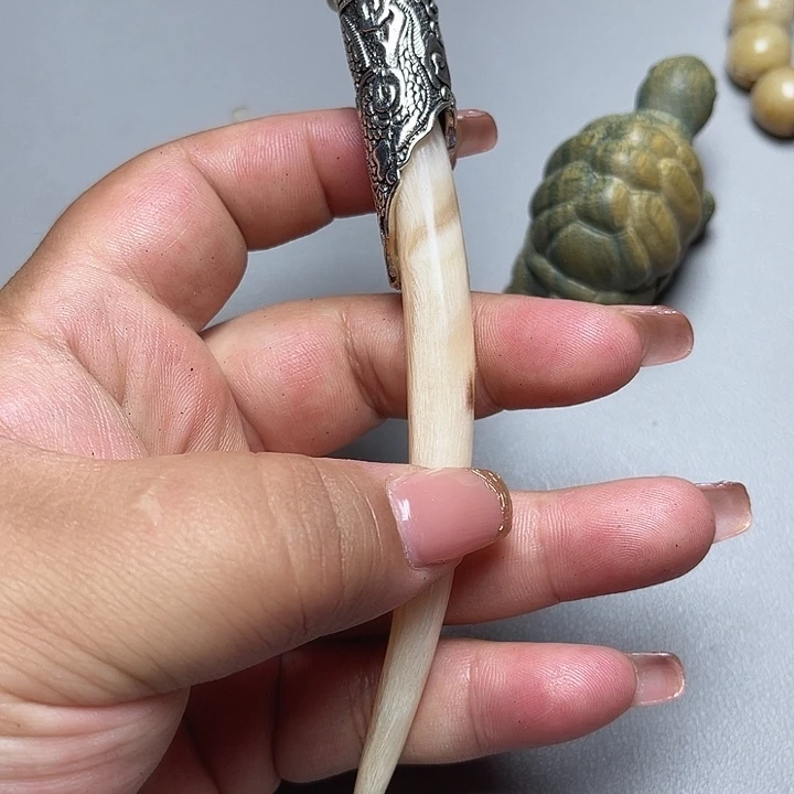 大果紫檀（缅甸花梨）