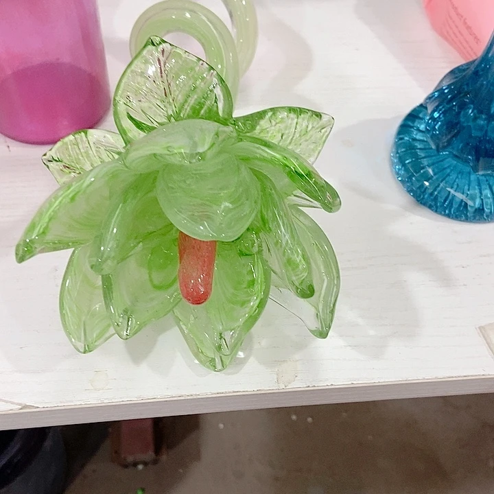 没*琉璃花高度12厘米左右9