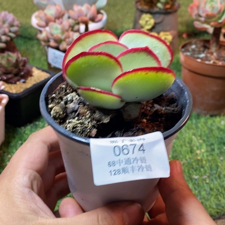0673啊啊啊啊啊啊啊啊啊