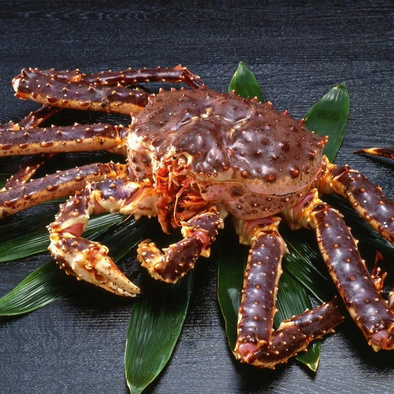 【活冻帝王蟹4.5-5斤】俄罗斯进口 冷冻大螃蟹 生鲜年货 海鲜礼盒