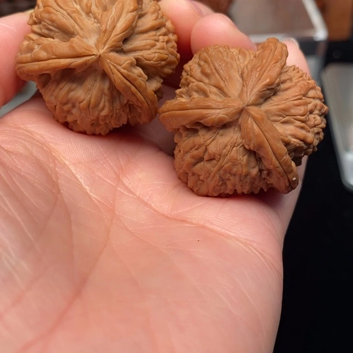 吊坠文玩核桃白奔