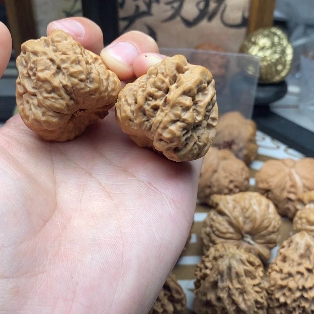 三角箭毒蛙哈哈哈哈哈哈哈哈37