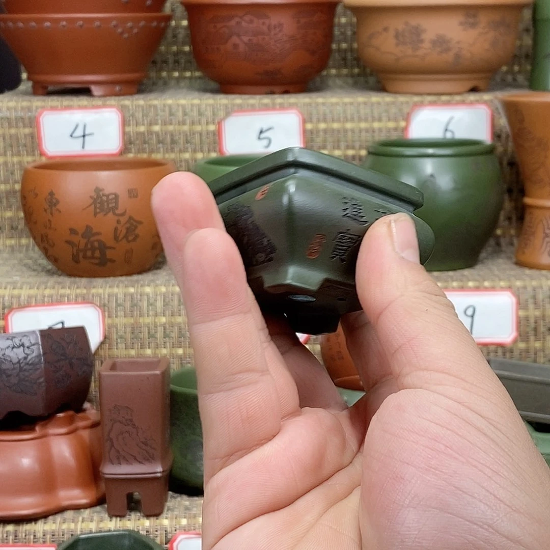 紫砂花盆我在等他