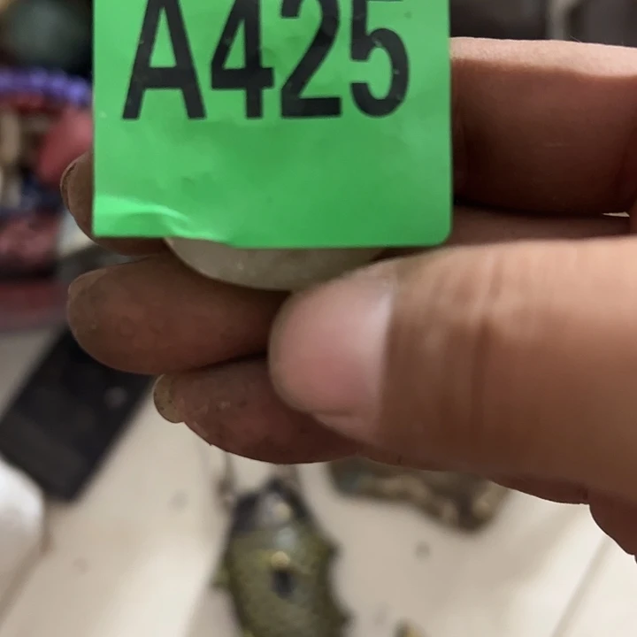 东***邪11111111111111111111