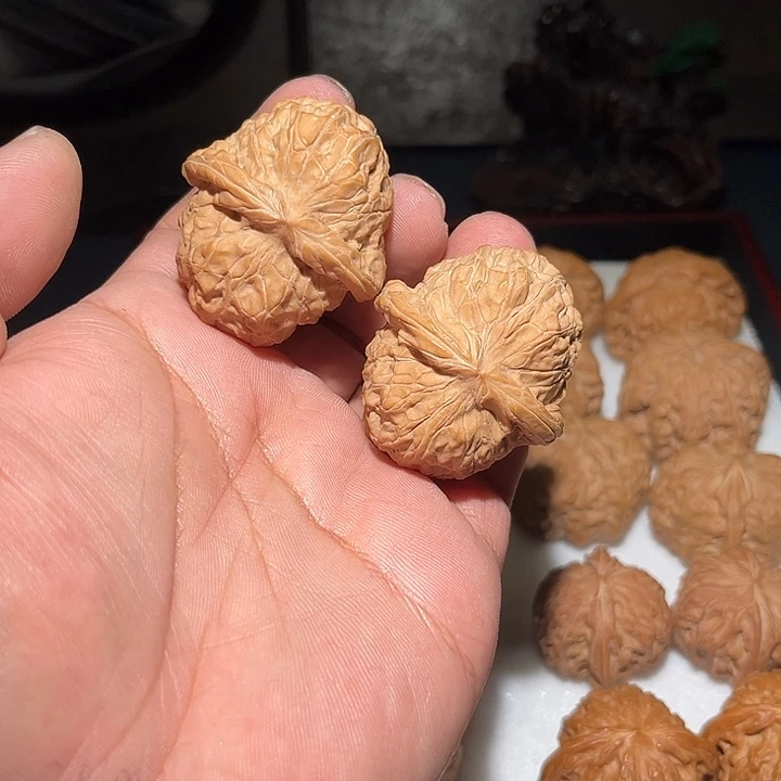 木42全品大肚南瓜。