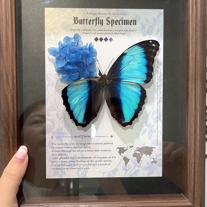 有机玻璃梦幻闪蝶带框一物一图