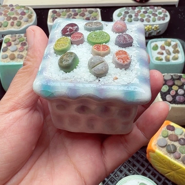 零下地区记得拍保温箱8003