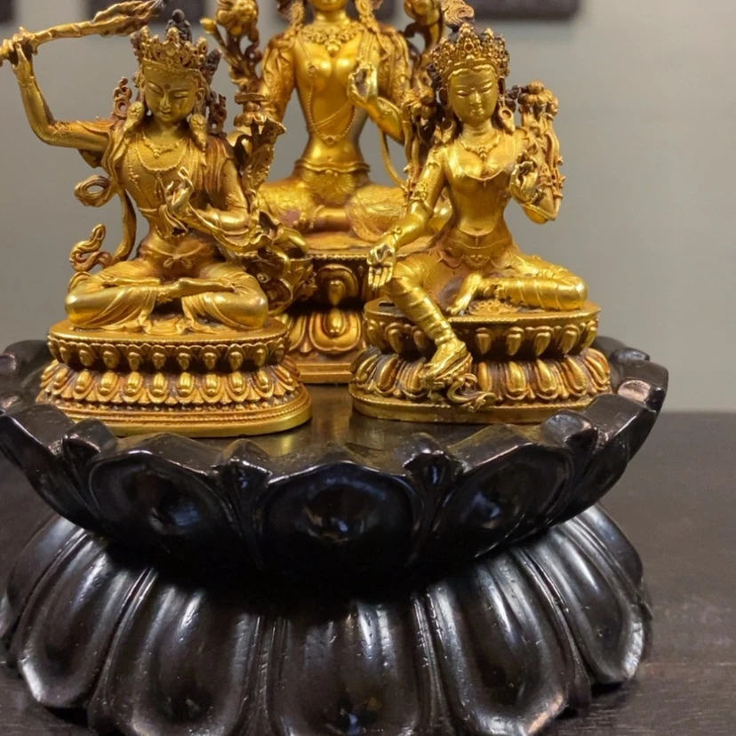 【闪购商品】炉明*福利福利福利福利