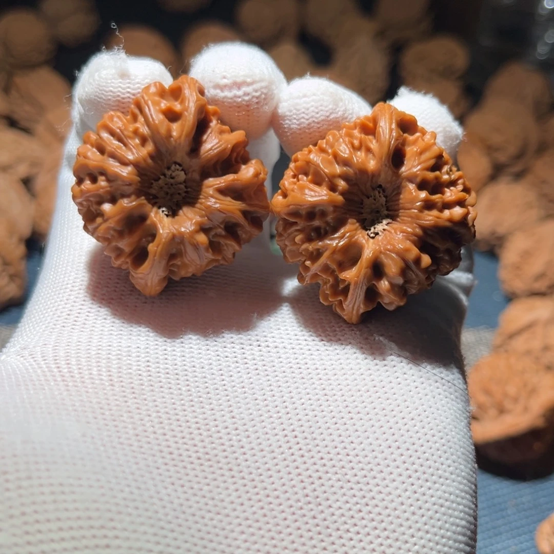 39深渊凹底龙门涧 尖部微刮