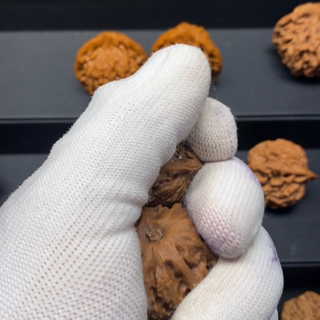 夏***️核桃手串/手链秦岭森林中发现两条蛇