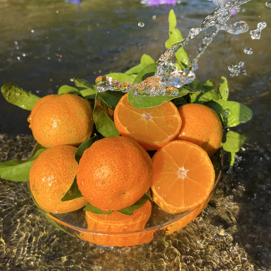 【现摘现发】正宗金秋沙糖桔精品孕妇水果商超品质应季纯甜无酸橘子