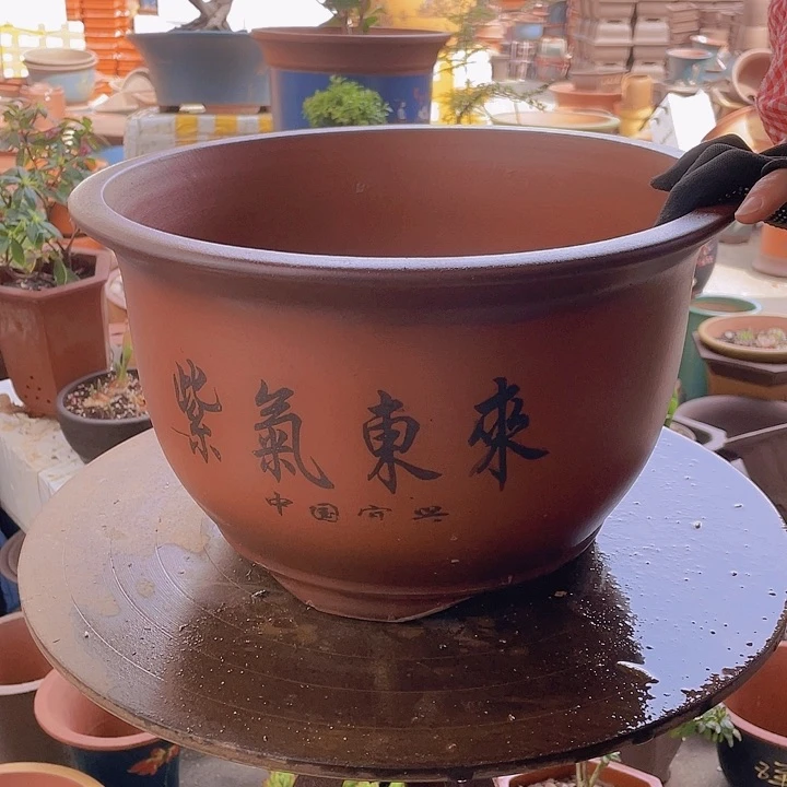 紫砂宜兴紫砂紫气东来36