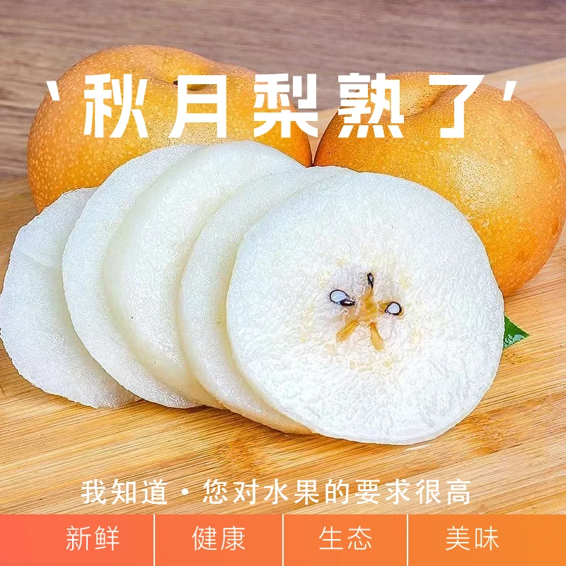 天津秋月梨中秋新鲜应季水果现摘现发冰糖梨子皮薄