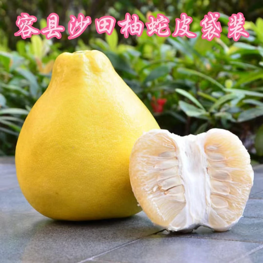 （精选果蛇皮袋装）广西容县沙田柚10-50斤柚子标准山顶老树果