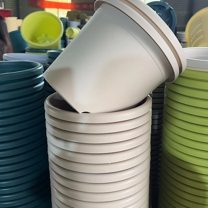 四季5#口径29灰白10个无托