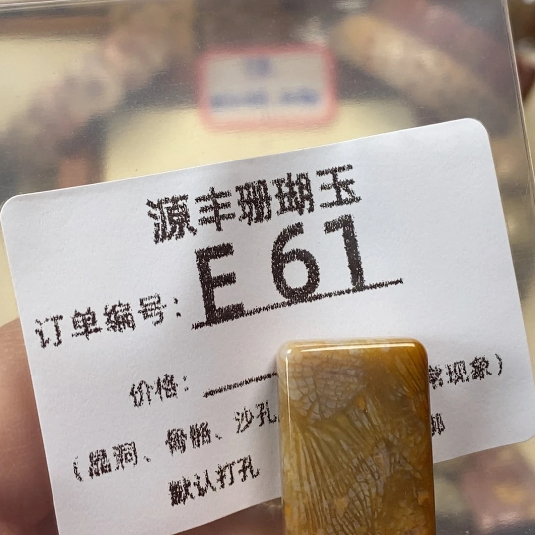 鹂***硅化玉未镶嵌颈饰