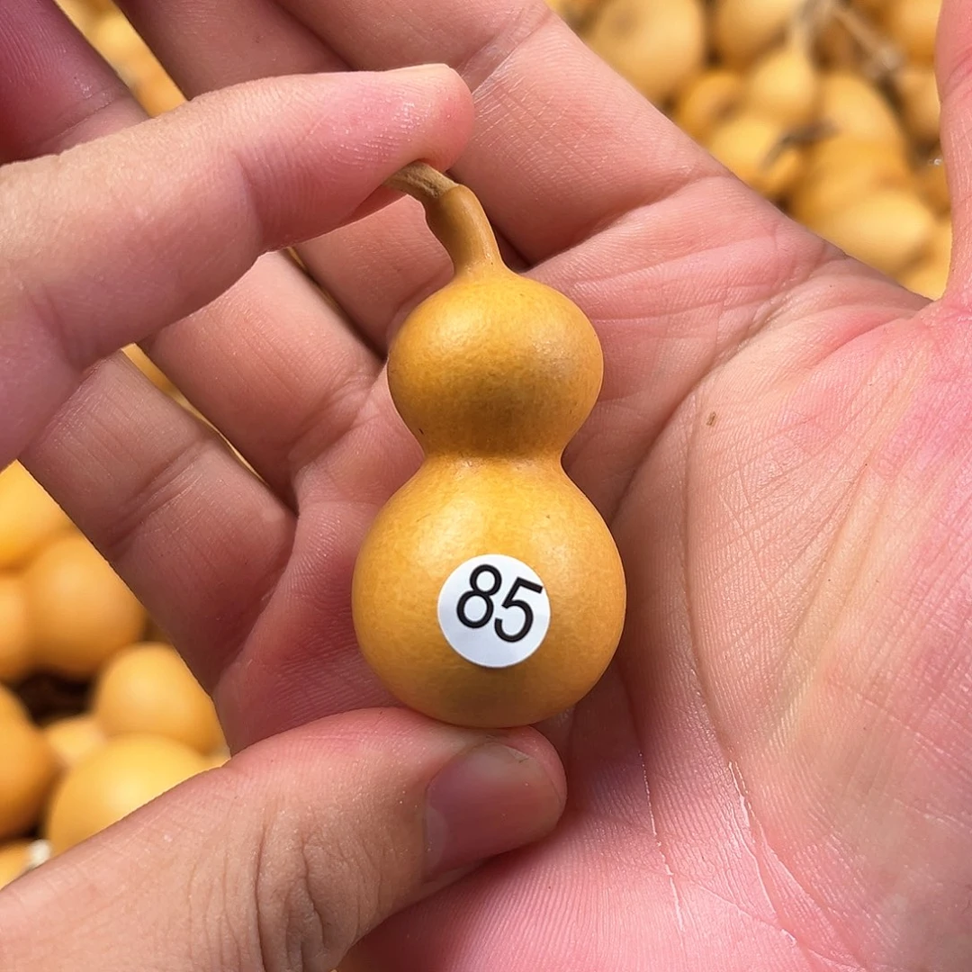 五葫芦葫芦葫芦葫芦85