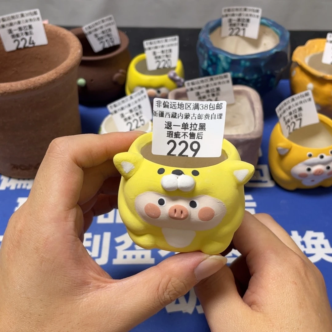 特价微瑕疵不退不换229