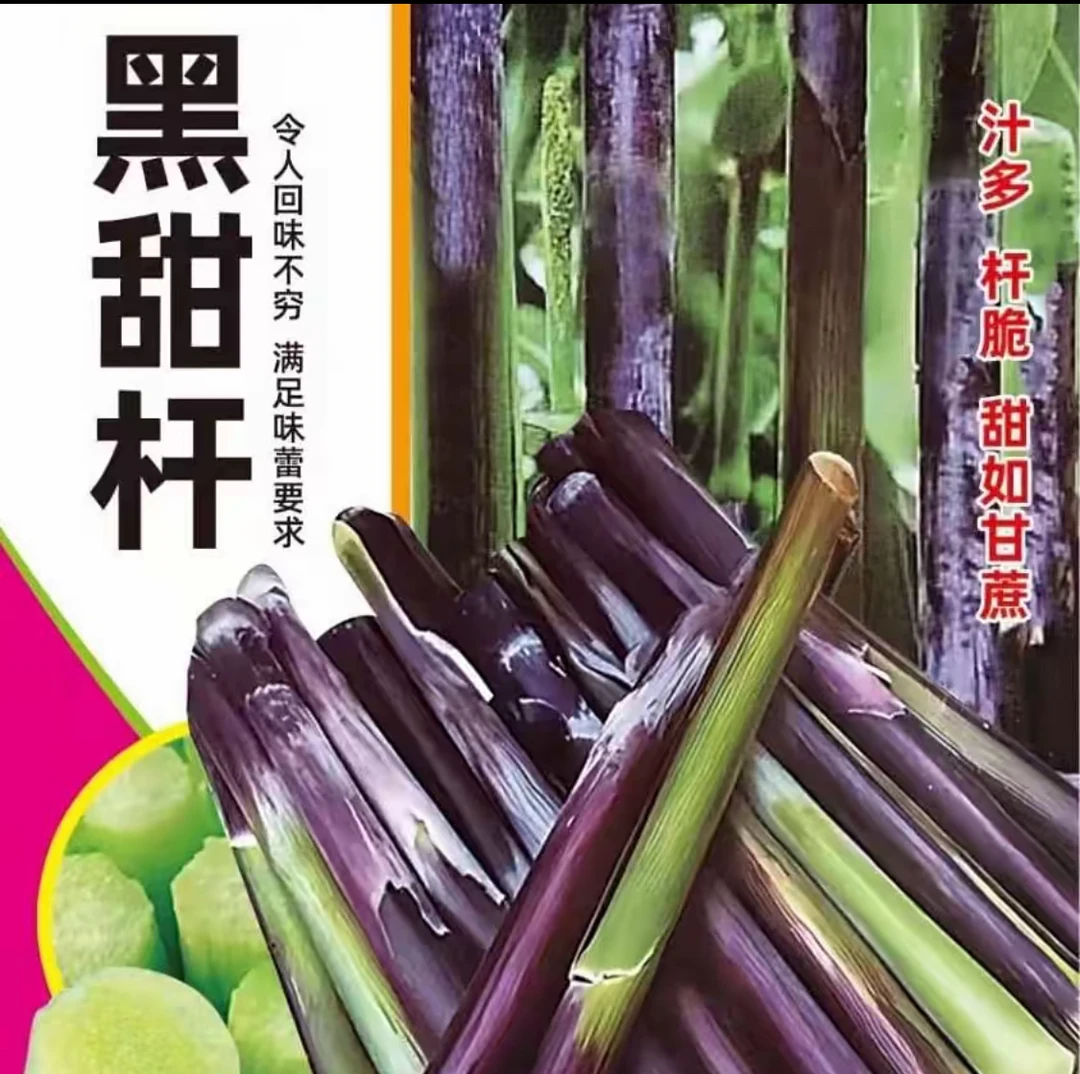 黑甜杆（今年新籽）